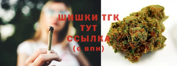 дурь Богородицк