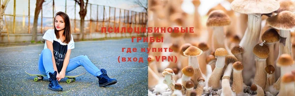 меф Богданович