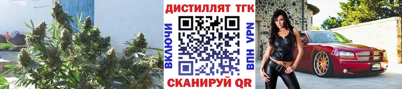 ТГК гашишное масло  Купить  Темрюк 