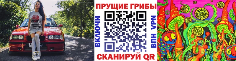 Купить где  Темрюк  Галлюциногенные грибы Magic Shrooms 